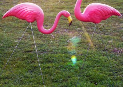 flamingo-prop-hire-vowed-amazed-4